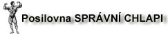 Spravnichlapi